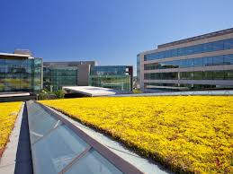 According to multiple sources, gates foundation staff was alerted ahead of time before the couple broke the news on social media — with one staffer describing the internal. Bill Melinda Gates Foundation Seattle Center 5th Avenue North Parking Garage Greenroofs Com