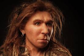Neanderthal woman looking no different to a modern european our strongmen are people that train for years increasing their body muscle through precise and exhausting exercises. First Traces Of Homo Sapiens Dna In A Neanderthal Earth Archives