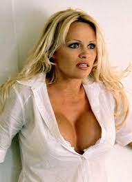 Памела дениз андерсон (pamela denise anderson) род. Becka Kotler Scary Movie Wiki Fandom