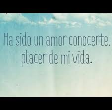 Ha Sido Un Amor Conocerte Placer De Mi Vida Frases Bonitas Frases Divertidas Frases Chulas