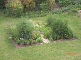 Mon Jardin Des Simples 100 Plantes Ma Passion Jardins Jardin De Cure Simple