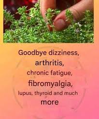 This is a true “tea of ​​God” as it treats arthritis, lupus, dizziness,  thyroid problems and chronic fatigue The Secret No One Will Ever Tell You.