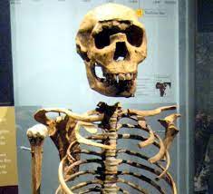 Join facebook to connect with niño de turkana and others you may know. Arqueolugares Nariokotome Prox Lago Turkana Kenia