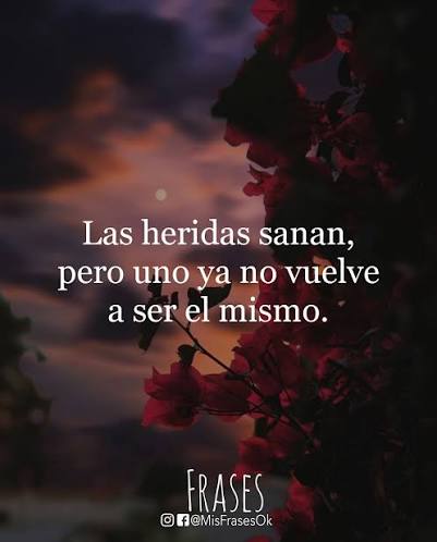 Frases