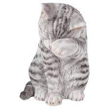 I am the socks cat tabby. Hi Line Gift American Shorthair Washing Tabby Statue In Grey 87698 B The Home Depot