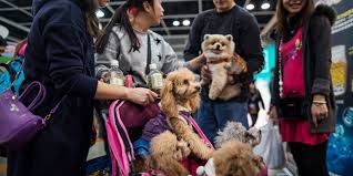 Sign in and be the first to comment. 5w2izb8tscvpmm