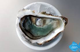 L Huitre Fine De Claire Verte Marennes Oleron Delicate Et Peu Charnue Riche En Eau Delicate En Saveur Depuis Fin O Poissonnerie Marennes Oleron Marennes