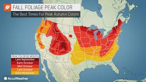 heres when fall leaves will peak in your region treehugger