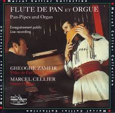 La Flute De Pan Technologie Diatonique Mondorama