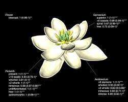 We did not find results for: The Ancestral Flower Of Angiosperms And Its Early Diversification Nature Communications