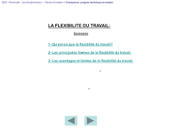 La Flexibilite Du Travail