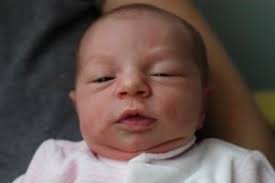 Carnet Rose Archives