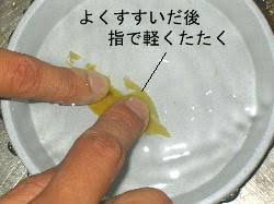 葉脈標本をつくってみよう