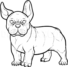 Cool frenchie the bulldog poster an adorable french bulldog face design in silhouette sticker style on the red banner background french bulldog stock illustrations. How To Draw A French Bulldog French Bulldog Step By Step Drawing Guide By Dawn Dragoart Com