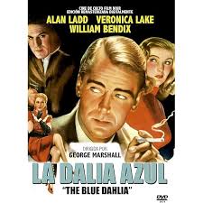 Film Noir Omnibus (Box) : Bogart, Humphrey, Stanwyck, Barbara, Grant, Cary,  Milestone, Lewis, Erskine, Chester, Winner, Michael, Mastroianni, Armand,  Karn, Bill, Landers, Lew, King, Louis, Birdwell, Russell, Lang, Fritz,  Gilling, John: Amazon.com.be: