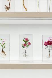 There are many different brands of resin on the market, which one you choose is important to we now come to the part where we will take you step by step through how to preserve flowers in resin. Azuma Makoto S New Freeze Dried Flower Series Launches At Opening Ceremony Vogue
