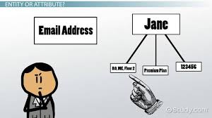 What Is An Entity In A Database Video Lesson Transcript Study Com