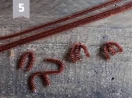 Voici Comment Bricoler Des Hiboux En Pommes De Pin Facilement Pomme De Pin Activite Manuelle A Faire Le Hibou