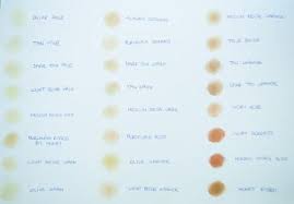 The All Natural Face Foundation S Swatches Paperblog Foundation Swatches Natural Face Too Faced Foundation