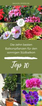 Pin Auf Balkon Hacks