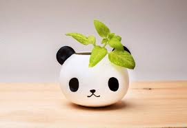 Panda Planter Mother S Day Gift Panda Gifts Christmas Gift Panda Bear Back To School Gift Holiday Gift Meow3d In 2020 Planter Gift Panda Gifts Flower Pots