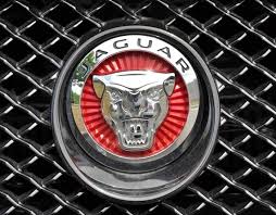 99 ($6.00/count) get it as soon as tomorrow, jun 18. The Jaguar Symbol History Of The Jaguar Logo