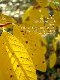 Snapshots First Day Of Autumn First Day Of Autumn Autumn Quotes Autumnal Equinox
