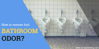 Stop snickering for a couple seconds. How To Remove Foul Bathroom Odor Caccia Plumbing