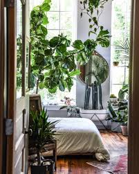 The Plant Doctor Is In On Iplanteven Hiltoncarter Is Sharing His Best Tips For Combating Pests On Your Plants Tun My Scandinavian Home Home Home Decor