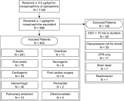 flow chart representing patient selection process and