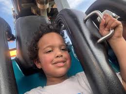 Bantam chickens pictures please