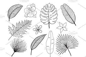 We did not find results for: Hand Drawn Tropical Leaves Silhouette Vector Set Set Leaf Exotics Vintage Vector Botanical Illustration Leaf Silhouette How To Draw Hands Tropical Leaves Illustration