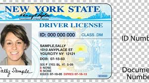 Driver license stock photos and images. New York Identity Document Driver S License Department Of Motor Vehicles Driving Png Clipart Department Of Motor