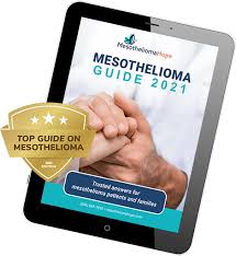 When diagnosed at stage 4, mesothelioma patients experience worsening symptoms. Stage 4 Mesothelioma Symptoms Prognosis Treatment
