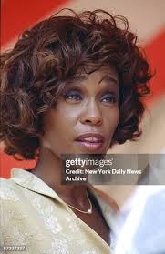 246 The Whitney E Houston Academy Stock Photos, High-Res Pictures, and  Images