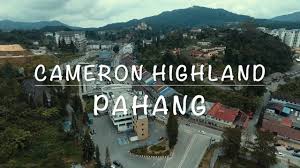 The cameron highlands is one of malaysia's most extensive hill stations. Malaysia Cameron Highlands L Ringlet L Tanah Rata L 4k Youtube