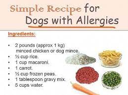 Mustlovedogs Dogsarefamily Animaladdicts Mustlovedogs Mykidshavefourpaws Livethelifeyoulove Dog Food Recipes Make Dog Food Dog Food Allergies