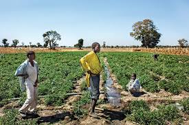 10 видео 12 просмотров обновлен 23 авг. Types Of Farming Subsistence And Commercial