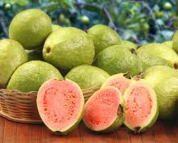 Check spelling or type a new query. 10 Buah Yang Mengandung Protein Tinggi Doktersehat