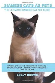 They gained a reputation for independence, gracefulness, and charm. Siamese Cats As Pets Siamese Cat Facts Information Where To Buy Health Diet Lifespan Types Breeding Care And More The Ultimate Siamese Cat Pet Guide Brown Lolly 9781946286246 Amazon Com Books