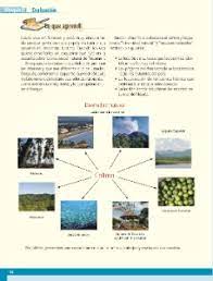 Easily share your publications and get them in front of issuu's millions of monthly readers. Evaluacion Lo Que Aprendi Ayuda Para Tu Tarea De Geografia Sep Primaria Cuarto Respuestas Y Explicaciones