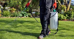 Hiring a lawn mower repair pro to fix your lawn mower, you will likely spend between $40 and $90. How Much Does Trugreen Actually Cost All Plans Compared