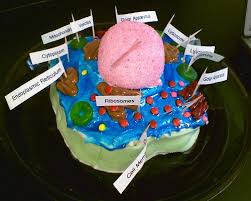 Maybe you would like to learn more about one of these? Eckhardt Cristin Overview
