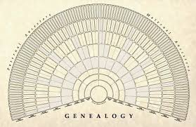 genealogy charts