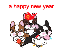 Boston terrier celebrating her birthday with hats, flutes, and balloons. Le Terrier De Boston Page 10