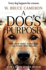 The art of racing in the rain (hardcover) by. 16 Best Books For Dog Lovers