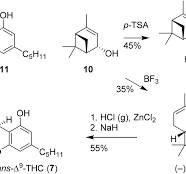 Synthetic pathways to tetrahydrocannabinol (THC): an ...