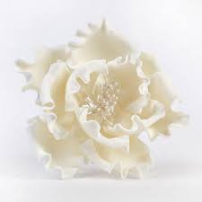 Get 45% off with 12 active wholesale sugar flowers promo codes & coupons. 6 Extra Large Peonies White Caljavaonline
