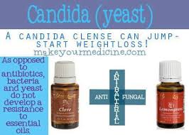 Pin On Essential Oils