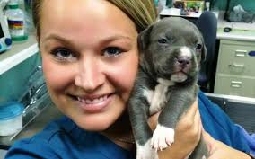 Comprehensive care for dogs, cats, and exotics in asheville, nc. 6 Top Rated Veterinarians In Asheville North Carolina Best Reviewed Experts